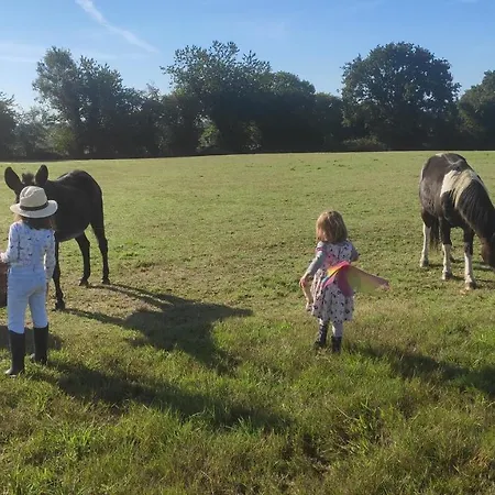 Eco-gite A La Ferme D'elles Tatil Evi